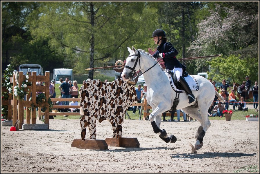 Pferd International 058